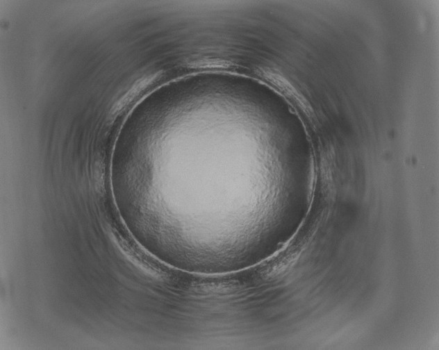 X0000075330533200609151448