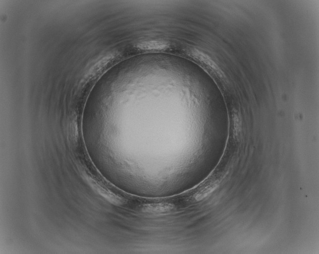 X0000075330541200609151448