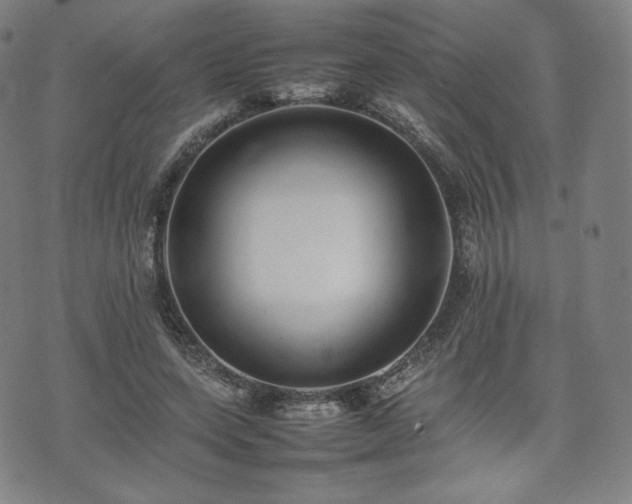 X0000075330543200609151448