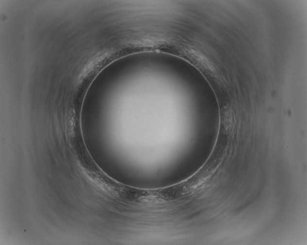 X0000075330544200609151448