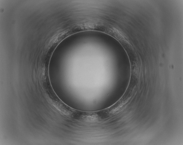 X0000075330548200609151448