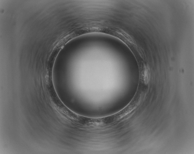 X0000075330552200609151449