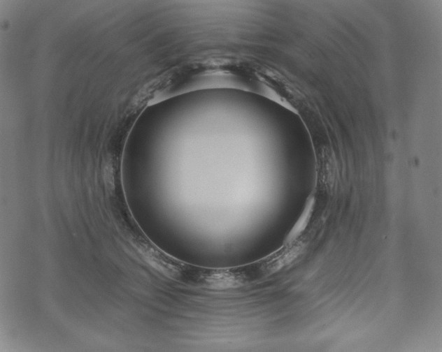 X0000075330562200609151449