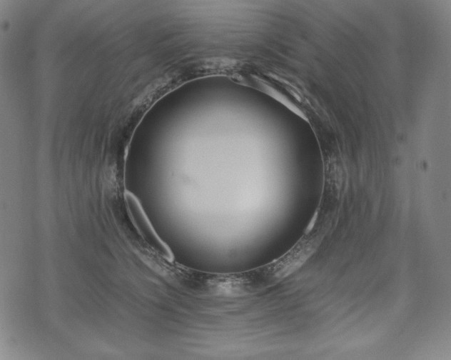 X0000075330564200609151449