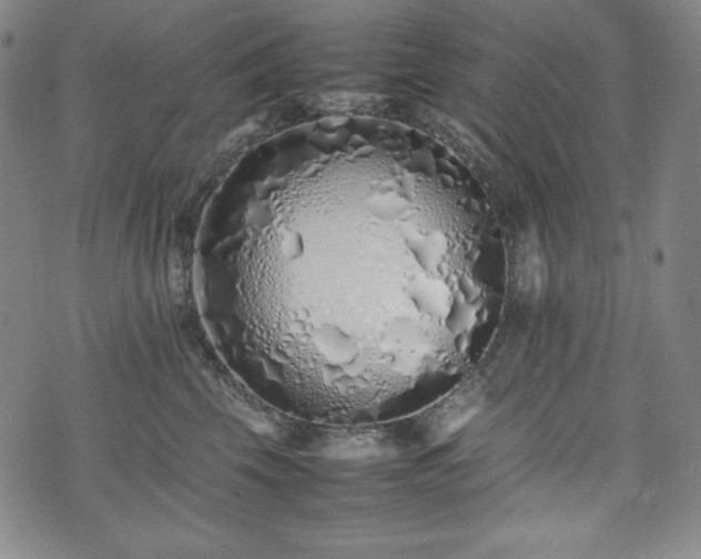 X0000075330569200609151449