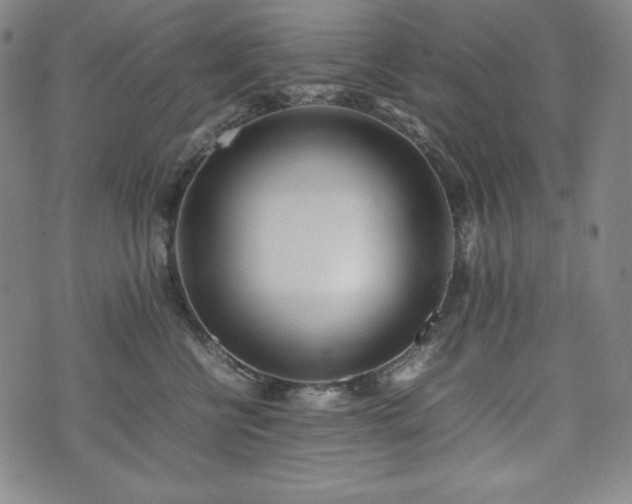 X0000075330570200609151449