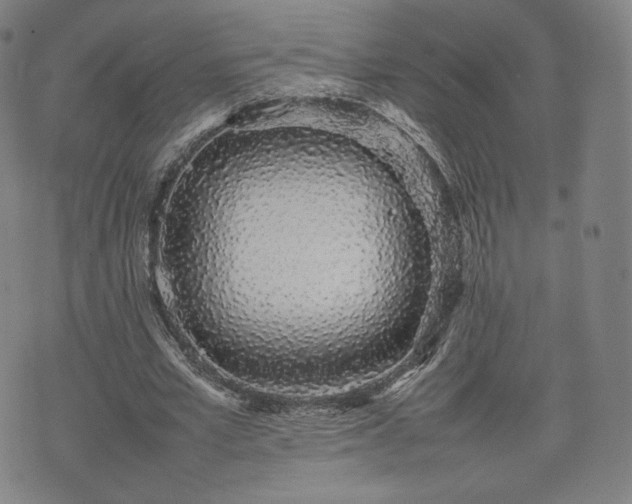 X0000075330581200609151448