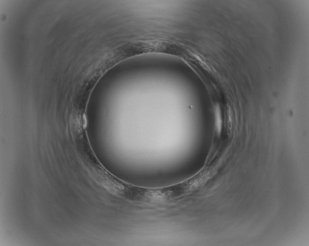 X0000075330613200609151448
