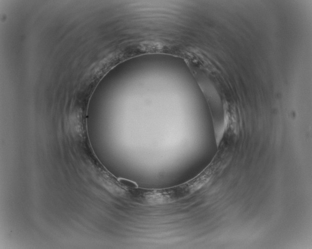 X0000075330616200609151448