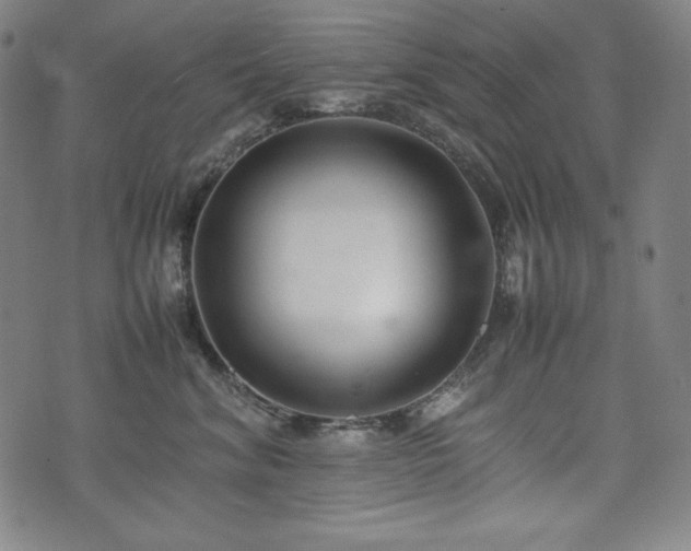 X0000075330620200609151447