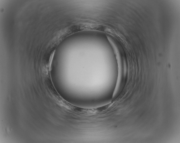 X0000075330621200609151447
