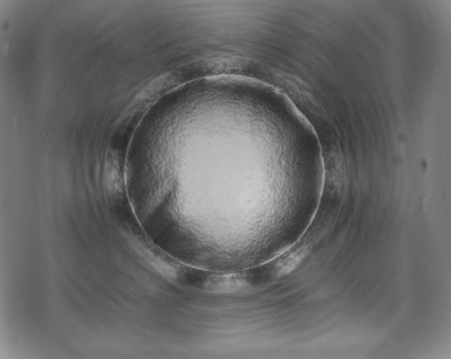 X0000075330622200609151447