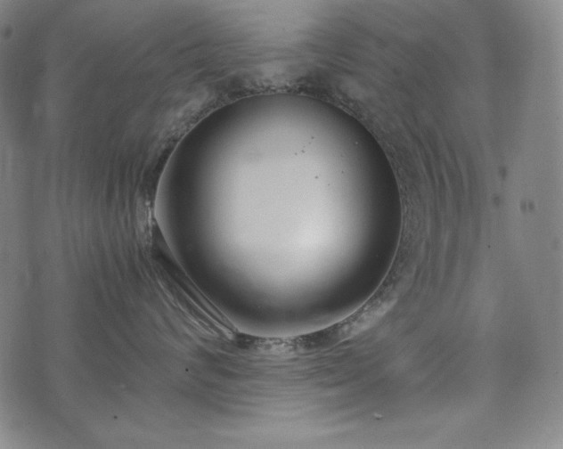 X0000075330624200609151447