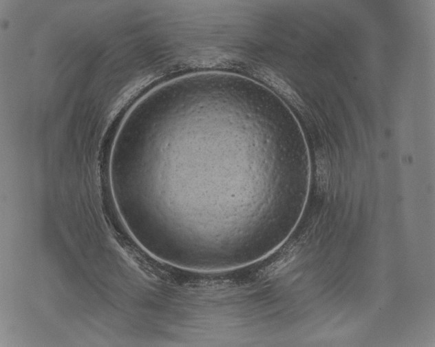X0000075330626200609151447