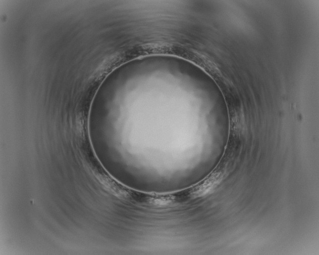 X0000075330662200609151447