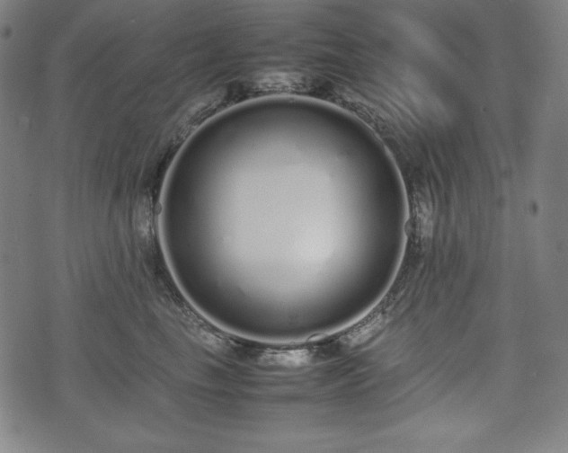 X0000075330665200609151447