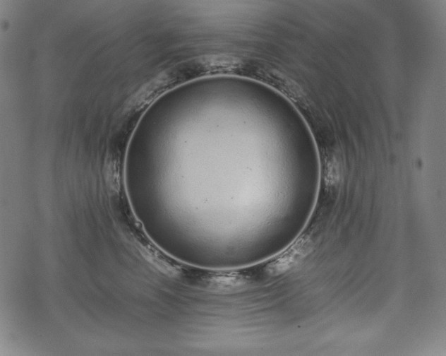 X0000075330666200609151447