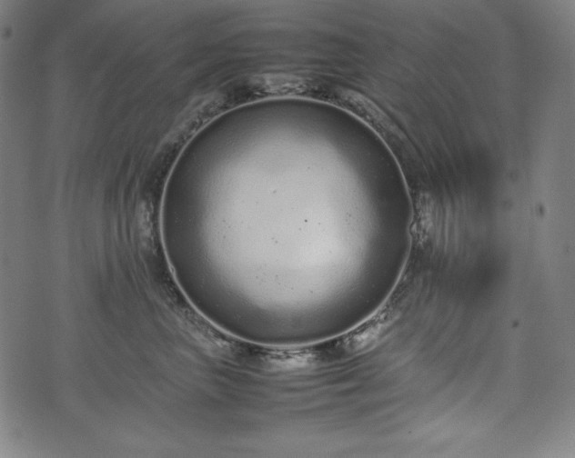 X0000075330667200609151447