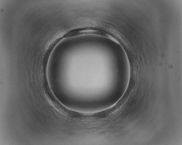 X0000075330677200609151447