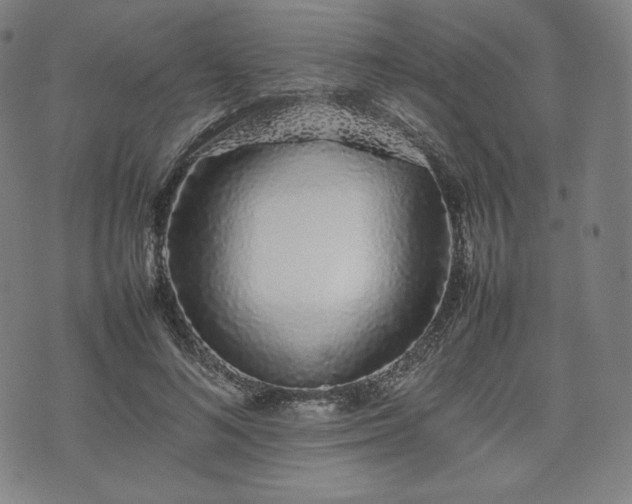 X0000075330692200609151446
