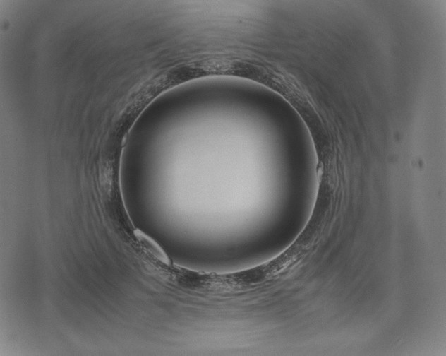 X0000075330697200609151446