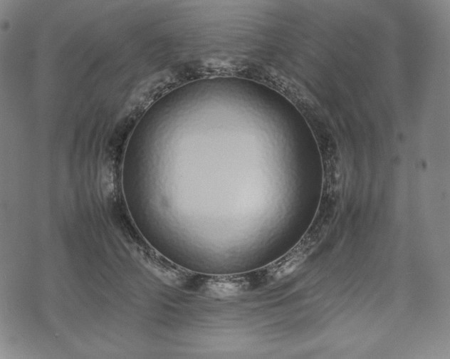 X0000075330706200609151446