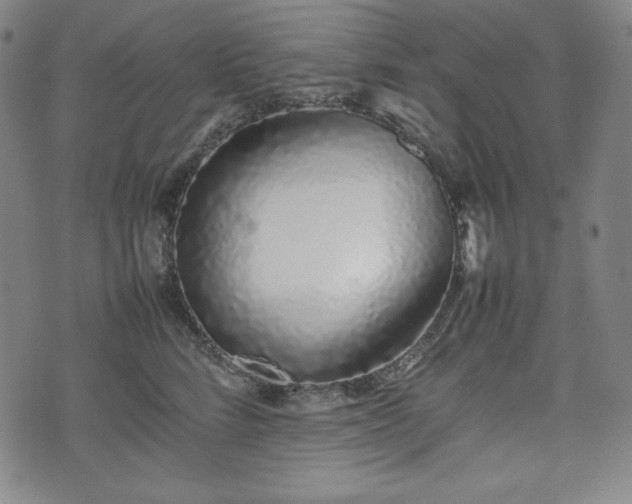X0000075330712200609151446