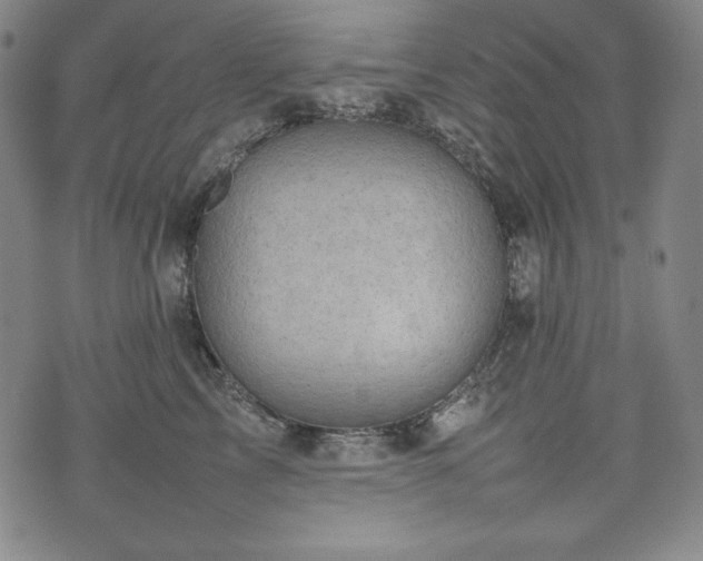 X0000075330713200609151446
