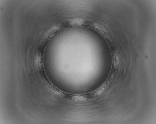X0000075330714200609151446
