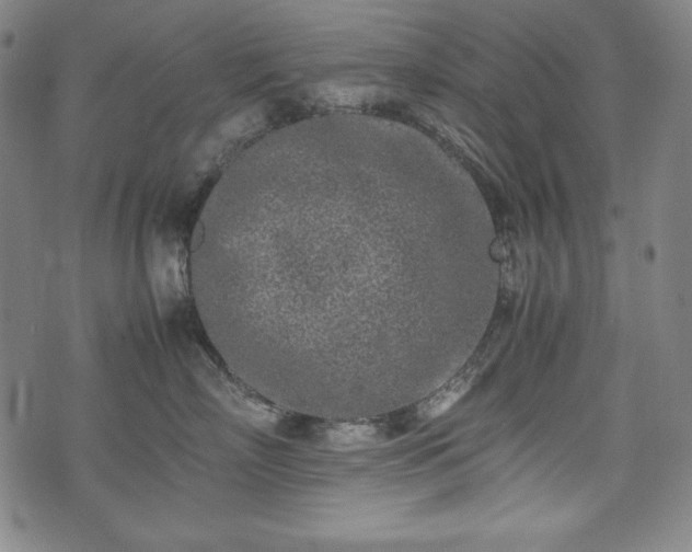 X0000075330718200609151446