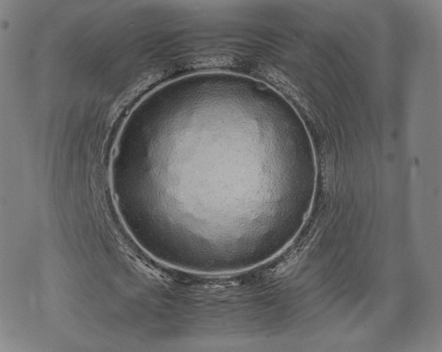 X0000075330721200609151445