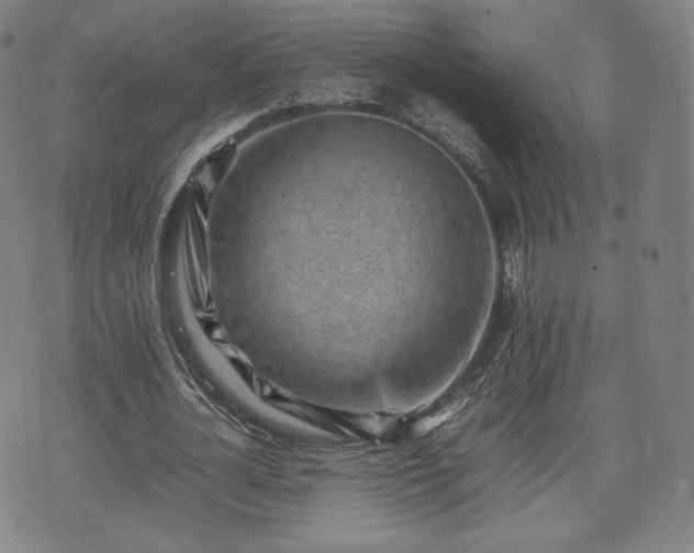 X0000075330724200609151445