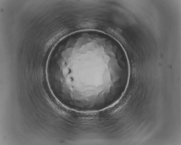 X0000075330725200609151445