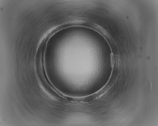 X0000075330726200609151445