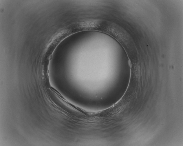 X0000075330731200609151445
