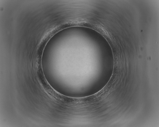 X0000075330736200609151445