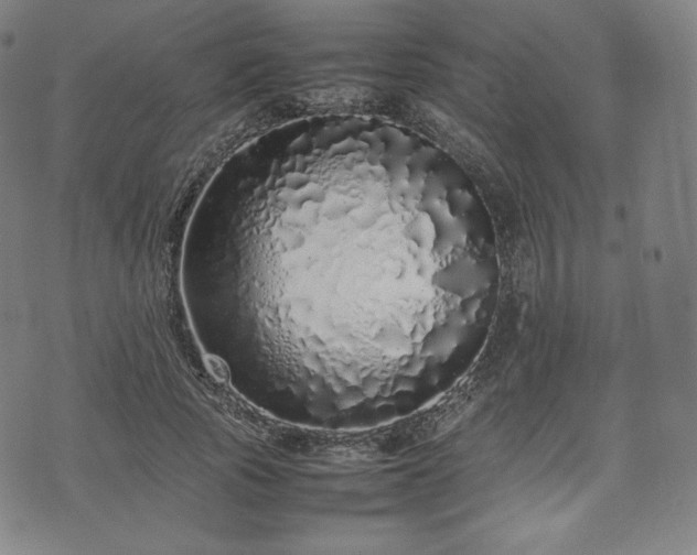 X0000075330737200609151445