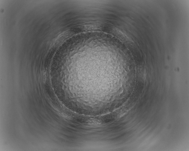 X0000075330741200609151445