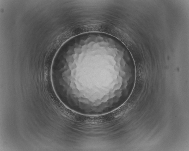 X0000075330745200609151445