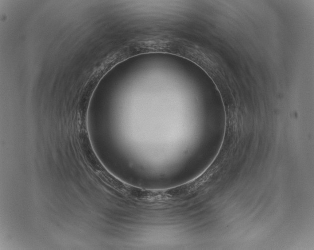 X0000075330752200609151446