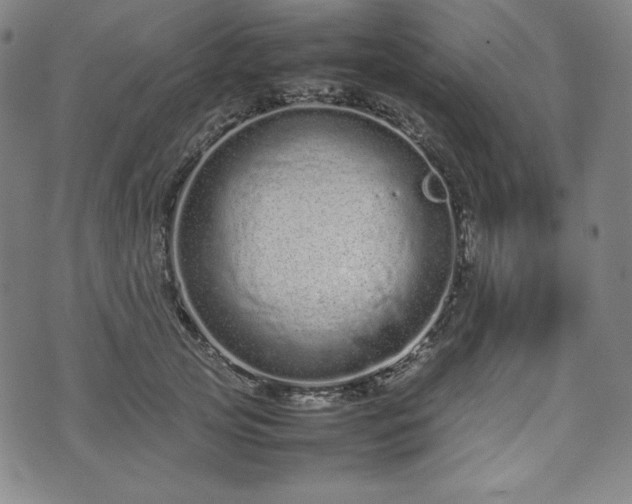 X0000075330753200609151446