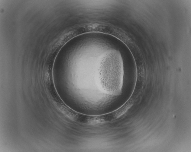 X0000075330754200609151446