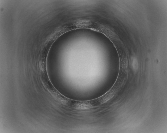 X0000075330755200609151446