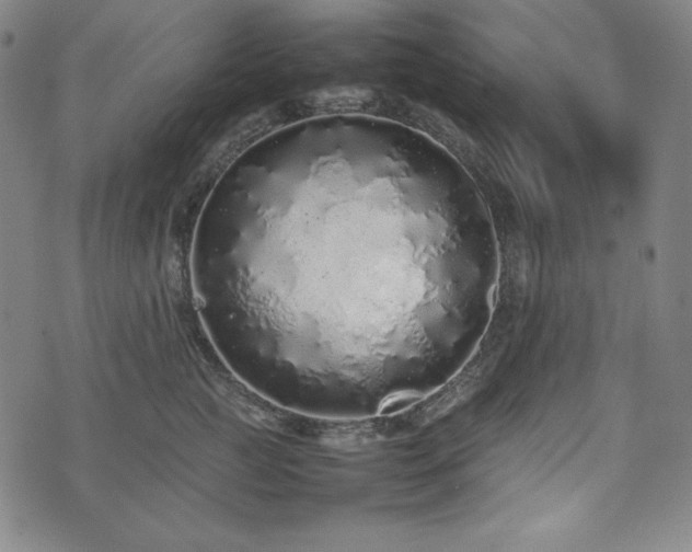 X0000075330761200609151446