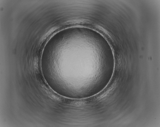 X0000075330778200609151445