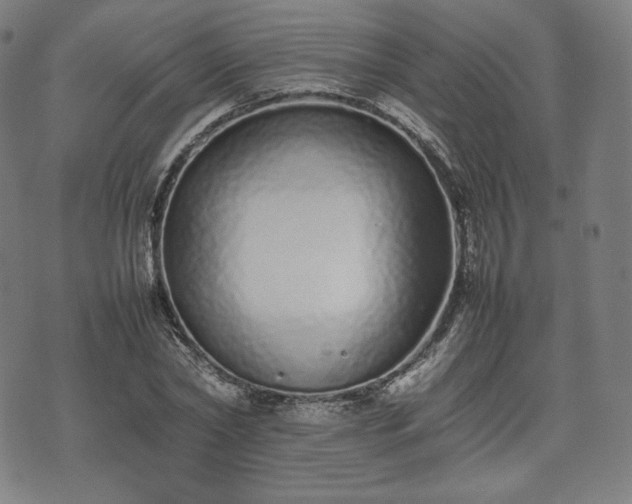 X0000075330782200609151445
