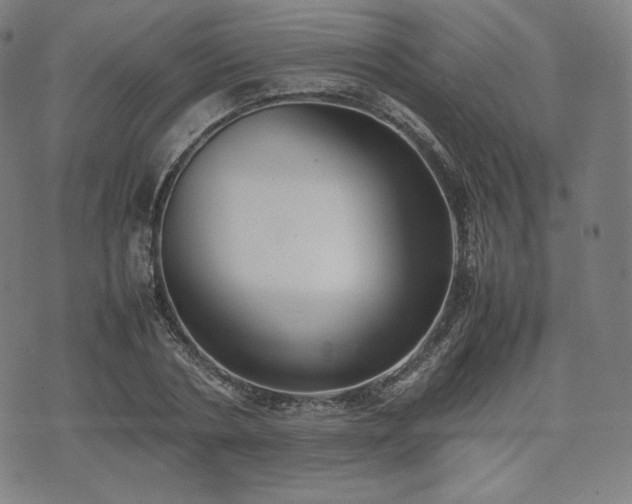 X0000075330786200609151445