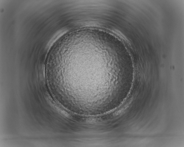 X0000075330790200609151445
