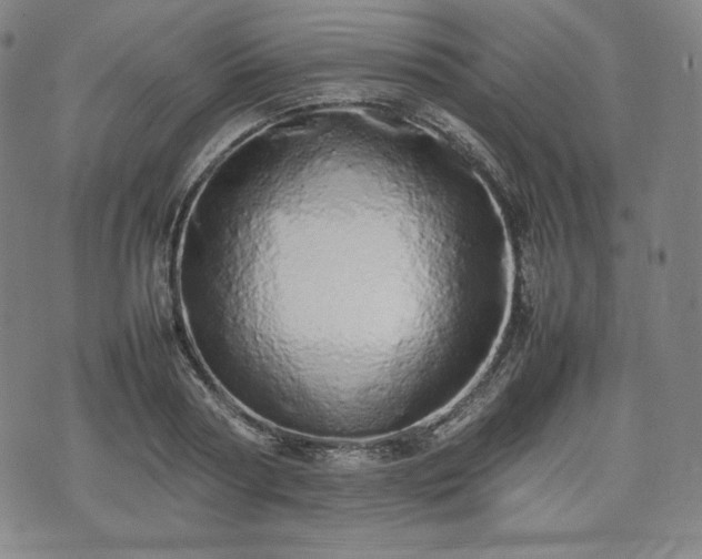 X0000075330794200609151445