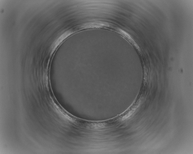 X0000075330802200609151445